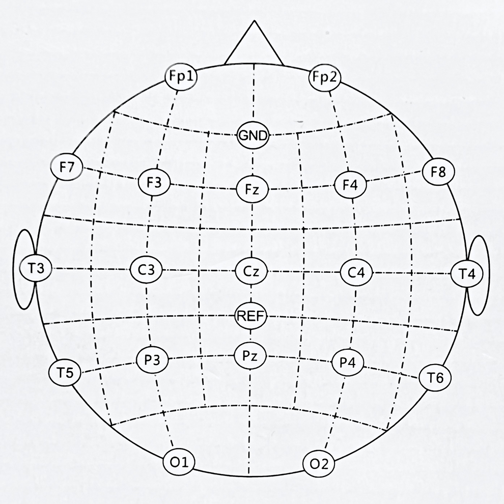 AllinOne EEG Electrode Cap Bundle OpenBCI Online Store